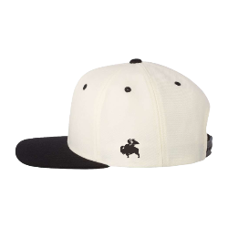 Buffalo Wild Wings Flat Bill Snapback / Thumbnail