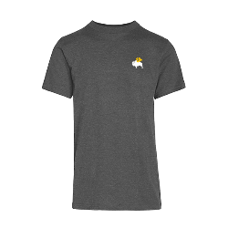 BWW Team T-Shirt / Thumbnail