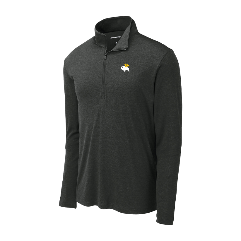 BWW Manager 1/2-Zip Pullover - Men's